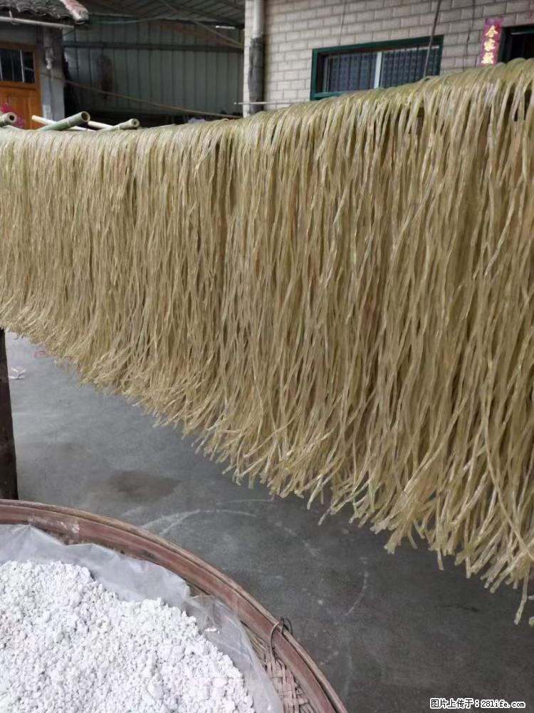 【灌阳正宗红薯粉】美女家里自己做的，干净卫生，假一赔十，价格合理，抢购电话：13737312895 - 美食天地 - 朔州生活社区 - 朔州28生活网 shuozhou.28life.net