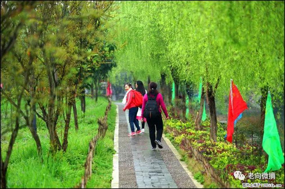 【春天，广西桂林灌阳县向您发出邀请！】江口老街又逢春 - 游山玩水 - 朔州生活社区 - 朔州28生活网 shuozhou.28life.net