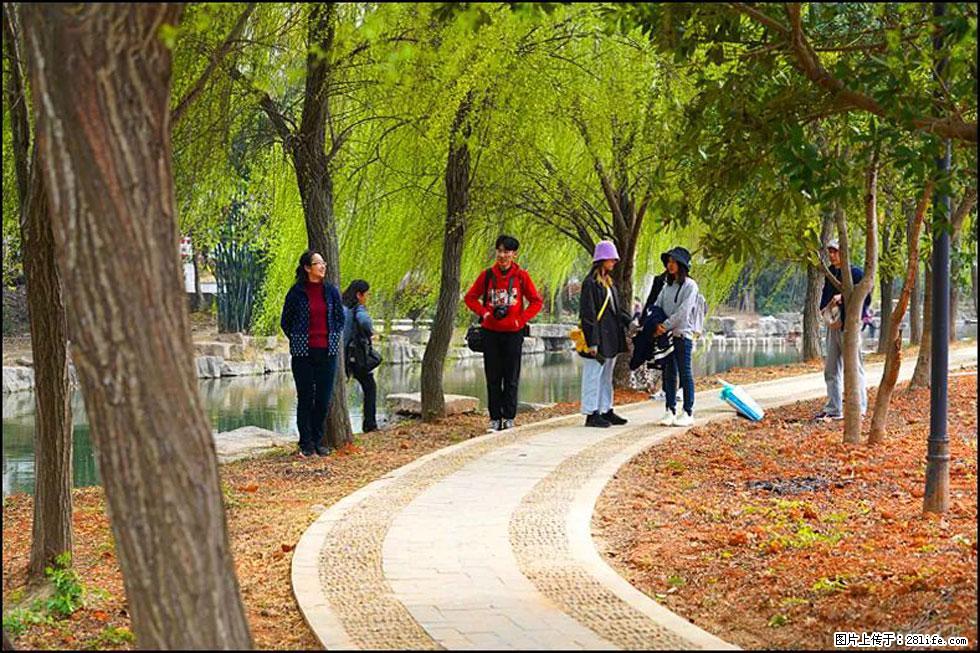 【春天，广西桂林灌阳县向您发出邀请！】江口老街又逢春 - 游山玩水 - 朔州生活社区 - 朔州28生活网 shuozhou.28life.net