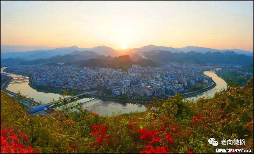 【春天，广西桂林灌阳县向您发出邀请！】登麒麟山，相约映山红 - 游山玩水 - 朔州生活社区 - 朔州28生活网 shuozhou.28life.net