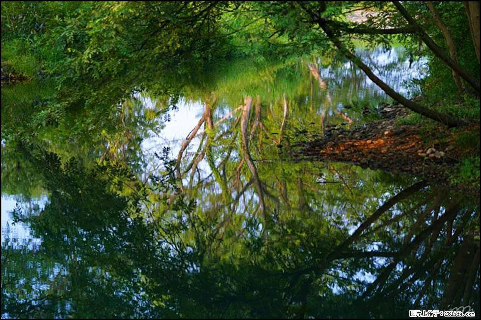 【春天，广西桂林灌阳县向您发出邀请！】熊家寨湿地公园 - 游山玩水 - 朔州生活社区 - 朔州28生活网 shuozhou.28life.net