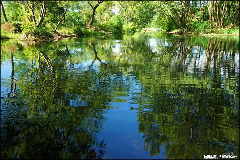 【春天，广西桂林灌阳县向您发出邀请！】熊家寨湿地公园 - 游山玩水 - 朔州生活社区 - 朔州28生活网 shuozhou.28life.net