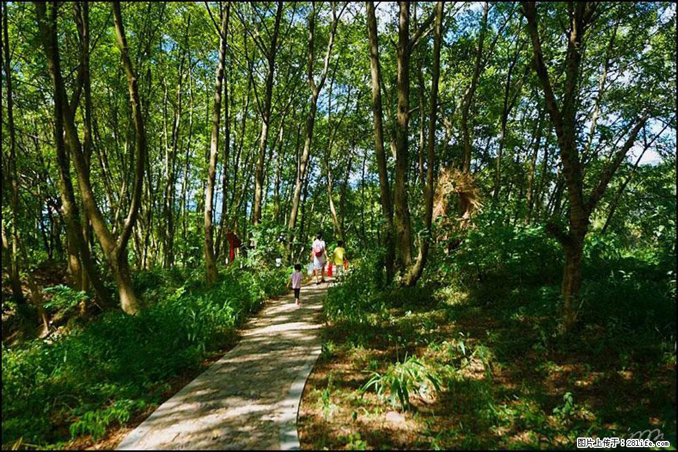 【春天，广西桂林灌阳县向您发出邀请！】熊家寨湿地公园 - 游山玩水 - 朔州生活社区 - 朔州28生活网 shuozhou.28life.net