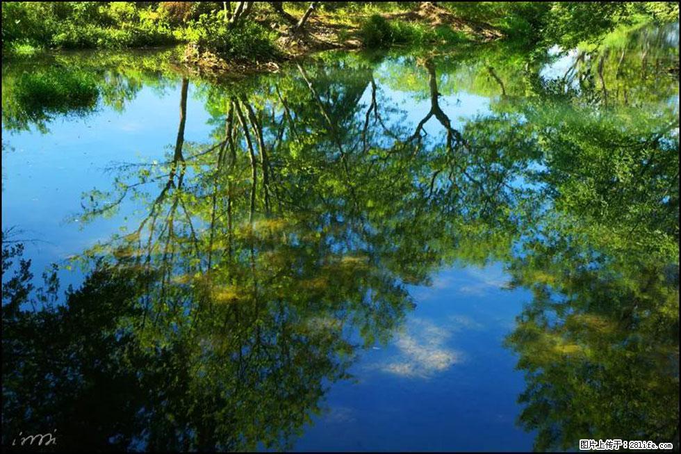 【春天，广西桂林灌阳县向您发出邀请！】熊家寨湿地公园 - 游山玩水 - 朔州生活社区 - 朔州28生活网 shuozhou.28life.net