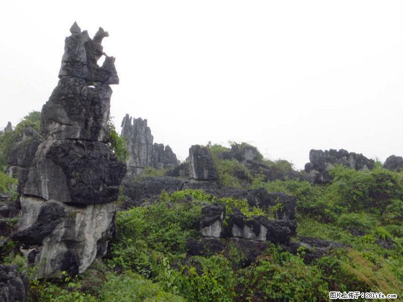 桂林旅游名城景点：灌阳文市石林 - 游山玩水 - 朔州生活社区 - 朔州28生活网 shuozhou.28life.net