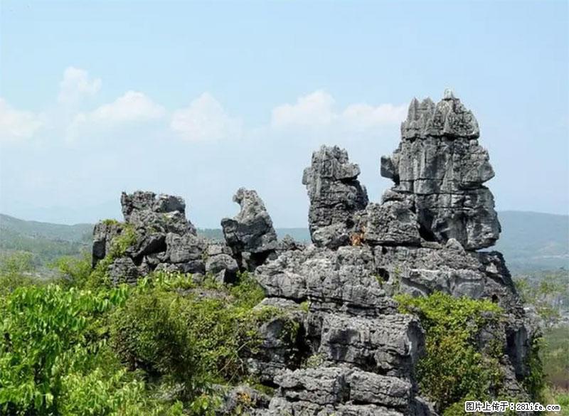 桂林旅游名城景点：灌阳文市石林 - 游山玩水 - 朔州生活社区 - 朔州28生活网 shuozhou.28life.net