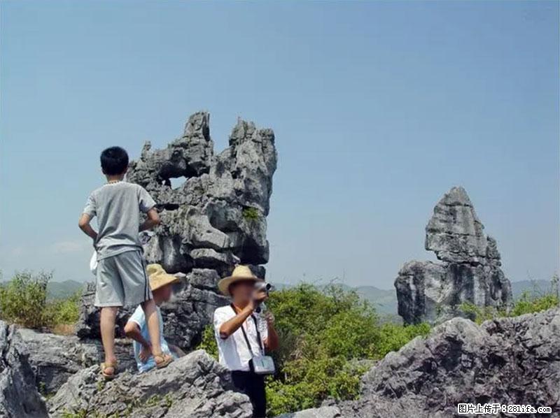 桂林旅游名城景点：灌阳文市石林 - 游山玩水 - 朔州生活社区 - 朔州28生活网 shuozhou.28life.net