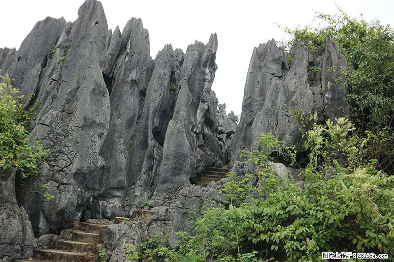 桂林旅游名城景点：灌阳文市石林 - 游山玩水 - 朔州生活社区 - 朔州28生活网 shuozhou.28life.net