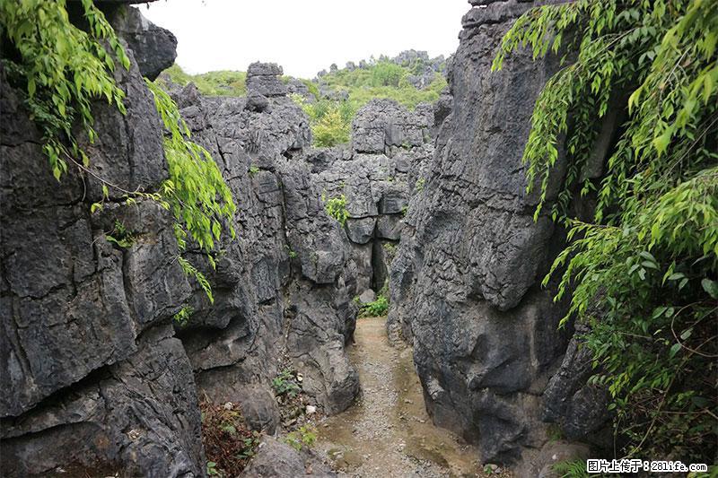 桂林旅游名城景点：灌阳文市石林 - 游山玩水 - 朔州生活社区 - 朔州28生活网 shuozhou.28life.net