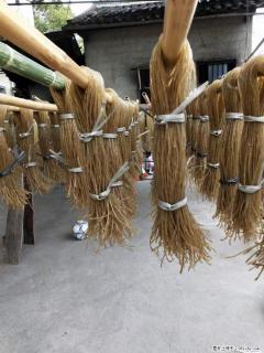 【灌阳正宗红薯粉】美女家里自己做的，干净卫生，假一赔十，价格合理，抢购电话：13737312895 - 朔州28生活网 shuozhou.28life.net