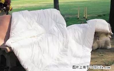 被子有异味？只要这样做，比晒太阳还强100倍！ - 家居生活 - 朔州生活社区 - 朔州28生活网 shuozhou.28life.net