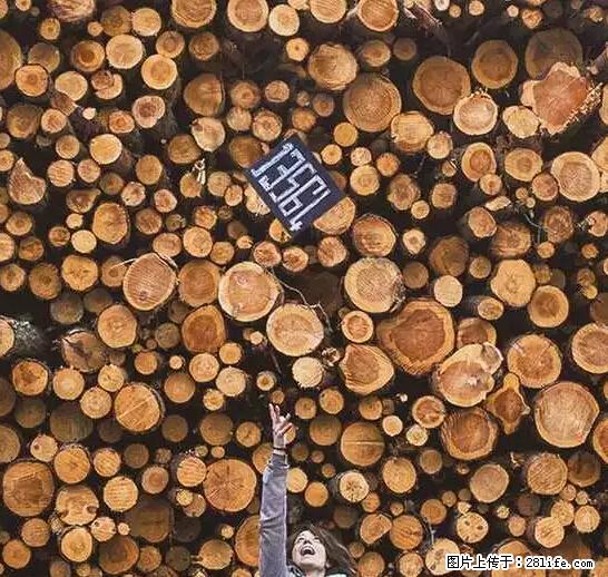 辞掉工作周游世界？现在他们在洗厕所…… - 游山玩水 - 朔州生活社区 - 朔州28生活网 shuozhou.28life.net