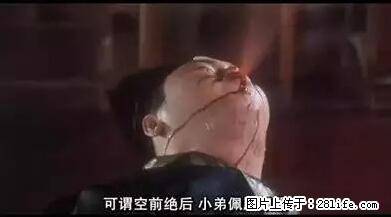笑癫了！一女的怀孕三年未生，他终于忍不住了... - 娱乐八卦 - 朔州生活社区 - 朔州28生活网 shuozhou.28life.net