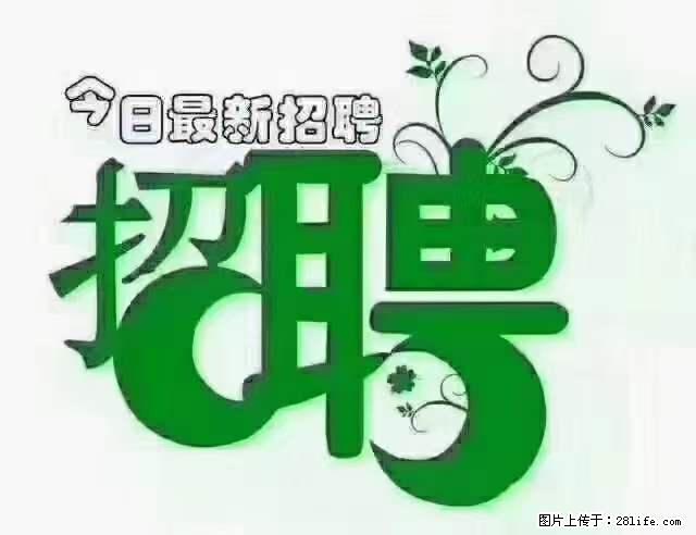 【招聘摄像师】待遇：试用期6000元/月，转正7000元/月+五险一金+餐补+节日福利+奖金 - 职场交流 - 朔州生活社区 - 朔州28生活网 shuozhou.28life.net