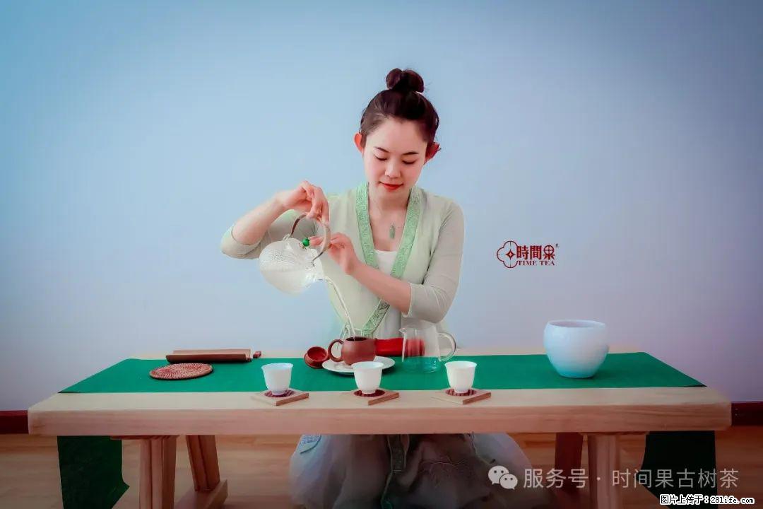 时间果百年古树龙珠普洱生茶 - 购物交流 - 朔州生活社区 - 朔州28生活网 shuozhou.28life.net