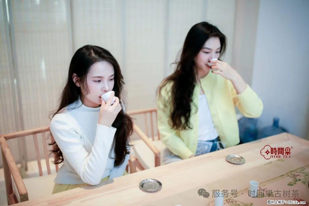 时间果百年古树龙珠普洱生茶 - 购物交流 - 朔州生活社区 - 朔州28生活网 shuozhou.28life.net