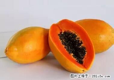 晕车、脚气、牙齿变黄、皮肤粗糙?学会这些三分钟搞定! - 朔州生活资讯 - 朔州28生活网 shuozhou.28life.net