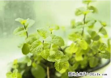晕车、脚气、牙齿变黄、皮肤粗糙?学会这些三分钟搞定! - 朔州生活资讯 - 朔州28生活网 shuozhou.28life.net