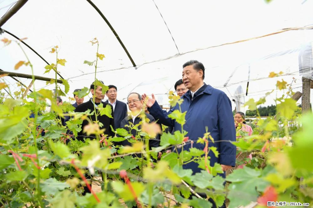 习近平赴广西考察调研 - 朔州生活资讯 - 朔州28生活网 shuozhou.28life.net