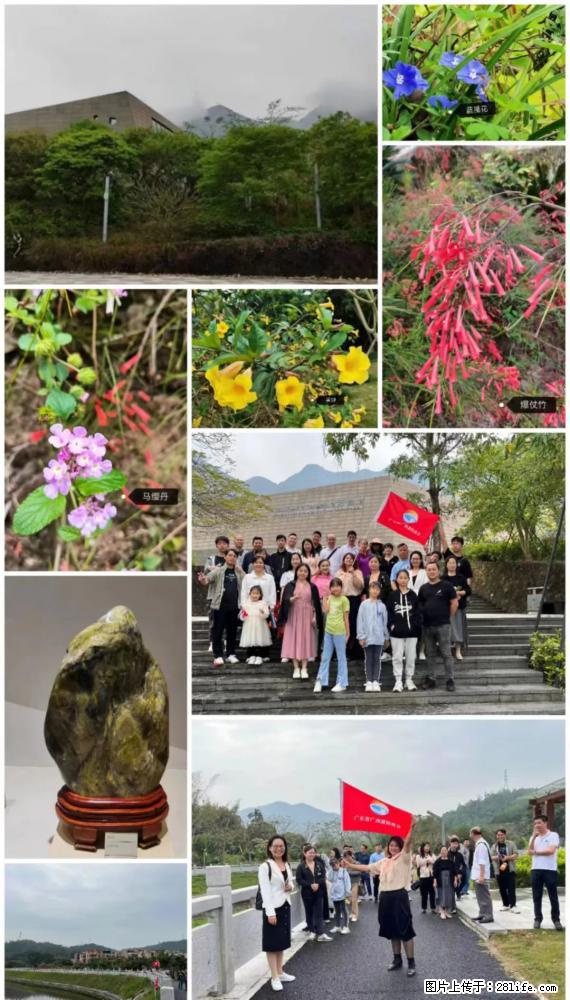 “粤灌文化 美好生活”油茶文化主题活动在广东深圳成功举办 - 朔州生活资讯 - 朔州28生活网 shuozhou.28life.net