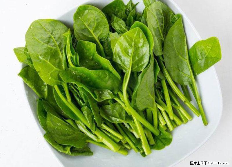 这些蔬菜是“天然钙片”，这6种被医生重点推荐 - 朔州生活资讯 - 朔州28生活网 shuozhou.28life.net