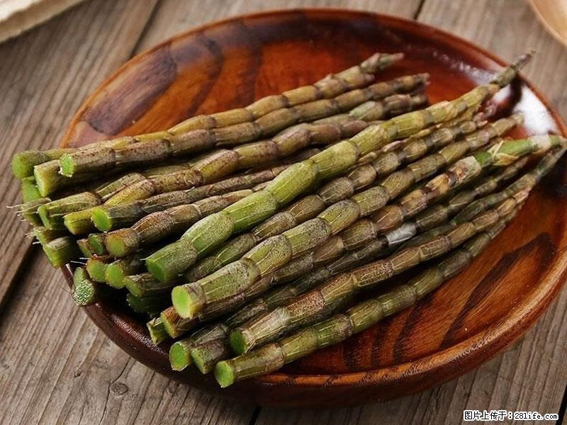 铁皮石斛的作用与功能主治 - 朔州生活资讯 - 朔州28生活网 shuozhou.28life.net